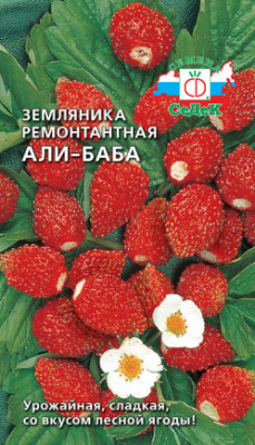 Земляника Али-Баба Земляника Али-Баба