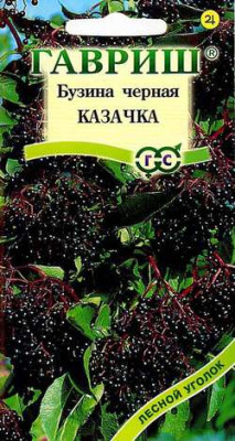 Бузина черная Казачка* 0,1 г Бузина черная Казачка* 0,1 г