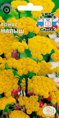 Лонас инодора Малыш карликовый