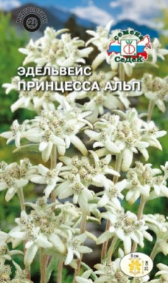 Эдельвейс Принцесса Альп