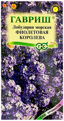 Лобулярия морская Фиолетовая королева ГАВРИШ