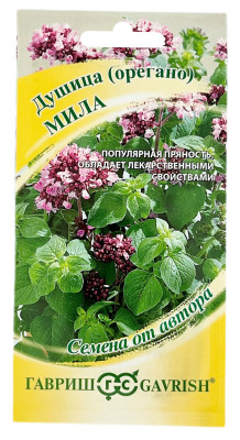 Душица орегано МИЛА ГАВРИШ