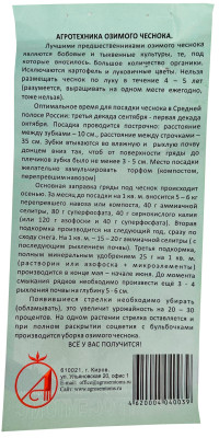 Чеснок головка Кировский (калибр 4-6) 3шт