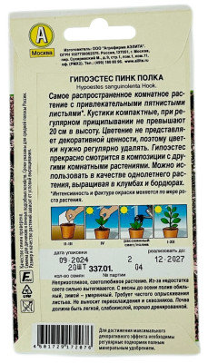 Гипоэстес ПИНК ПОЛКА АЭЛИТА описание