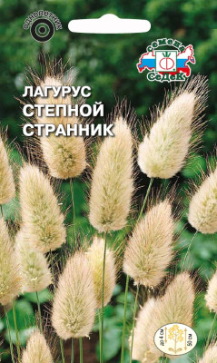 Лагурус Степной Странник (сухоцвет) (Евро, 0,1)