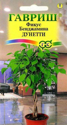 Фикус Бенджамина Дунетти* 0,01 г. Фикус Бенджамина Дунетти* 0,01 г.