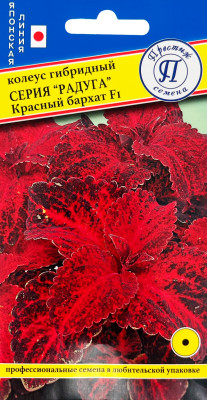 Колеус Радуга Красный бархат 10шт