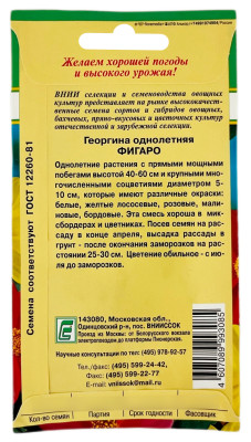 Георгина однолетняя ФИГАРО ВНИИССОК описание
