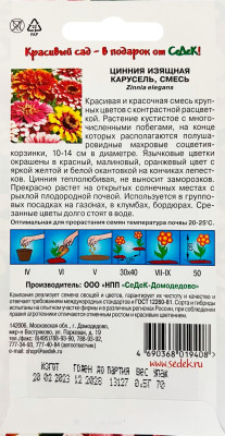 Цинния Карусель (изящная)