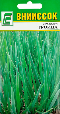 Лук батун ТРОИЦА ВНИИССОК