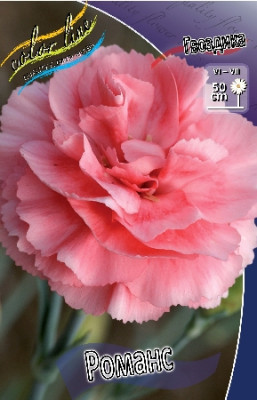 Гвоздика Романс(1шт) 4073