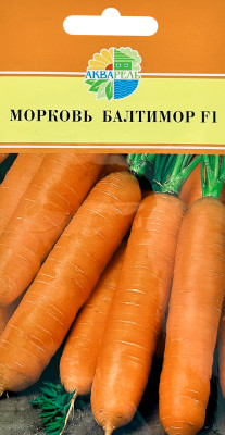 Морковь Балтимор F1 АКВАРЕЛЬ