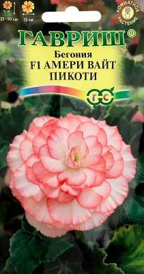 Бегония Амери вайт пикоти F1 клубневая гранул. 4шт. пробирка