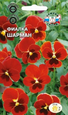 Фиалка Шарман (вид: рогатая)