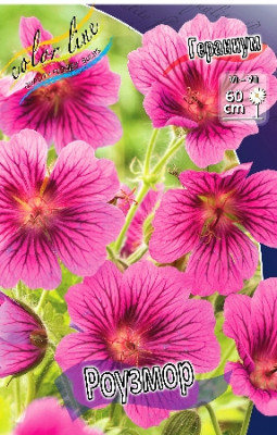 Гераниум Роузмор (2шт) 2180