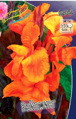 Канна Вайоминг (корич.) (2шт) 2534