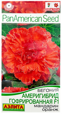 Бегония америгибрид гофрированная F1 МАНДАРИН ОРАНЖ АЭЛИТА
