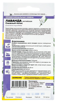 Лаванда английская СНЕЖНЫЙ КОЛОС СЕМЕНА АЛТАЯ описание