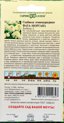 Скабиоза темнопурпурная Фата-моргана махр. 6шт