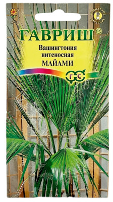 Вашингтония нитеносная МАЙАМИ ГАВРИШ