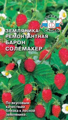 Земляника Барон Солемахер Земляника Барон Солемахер