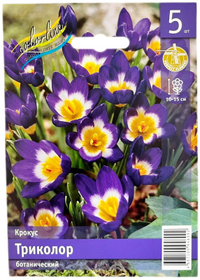 Крокус Триколор ботанический
