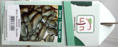 Грибы Мицелий в грибных грядках Вешенка Хитчер