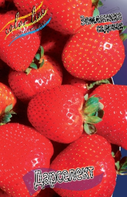 Земляника (Клубника) Дарселект (5) 4289
