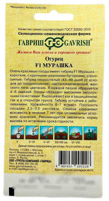 Огурец Мурашка F1 ГАВРИШ описание