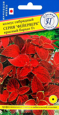 Колеус Фейерверк Красный бархат 10шт