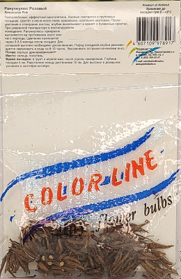 Ранункулюс Пикоти Розовый (10шт)