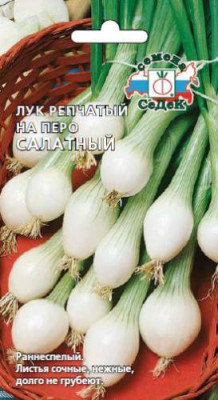 Лук Салатный (на перо) Лук Салатный (на перо)
