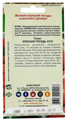 Томат КРАСНАЯ ГРОЗДЬ 4216 ВНИИССОК описание