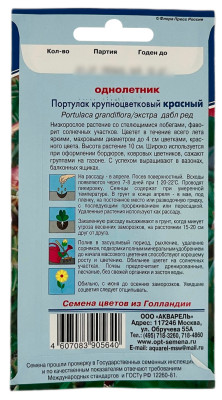 Портулак КРУПНОЦВЕТКОВЫЙ КРАСНЫЙ АКВАРЕЛЬ описание Портулак КРУПНОЦВЕТКОВЫЙ КРАСНЫЙ АКВАРЕЛЬ описание