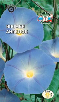 Ипомея Ангелок