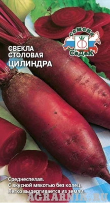 Свекла Цилиндра столовая