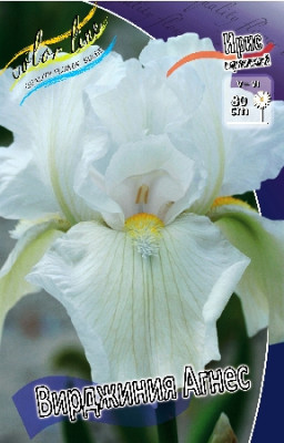 Ирис Германский Вирджиния Агнес (1шт) 4143 Ирис Германский Вирджиния Агнес (1шт) 4143