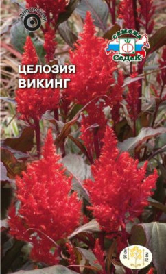 Целозия Викинг (перистая, ярко-алая)