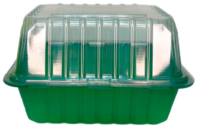 Теплица-Мини 1 место дно+крышка 21*16*6,5см