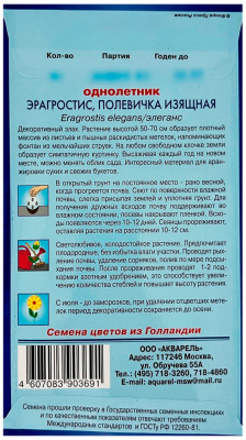 Эрагростис полевичка ИЗЯЩНАЯ АКВАРЕЛЬ описание