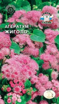 Агератум Жиголо