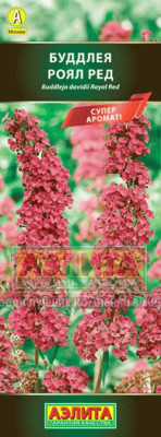 Буддлея давида Роял Ред