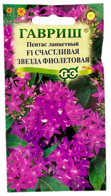 Пентас ланцетный F1 СЧАСТЛИВАЯ ЗВЕЗДА ФИОЛЕТОВАЯ ГАВРИШ
