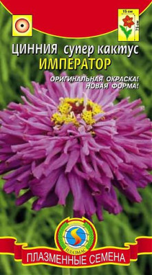 Цинния супер-кактус Император