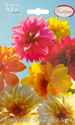 Георгина низкорослая 0,3г