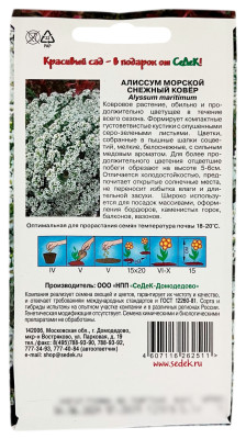 Алиссум морской СНЕЖНЫЙ КАВЕР СеДеК описание