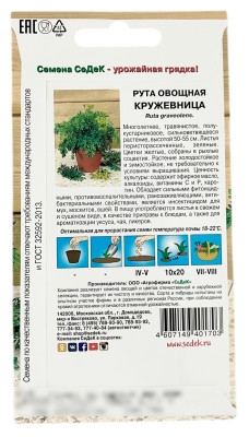 Рута овощная КРУЖЕВНИЦА СеДеК описание