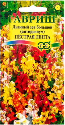 Антирринум (Львиный зев) Пестрая лента 0,1 г Н21