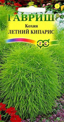 Кохия Летний кипарис (веничная) 0,3 г DH