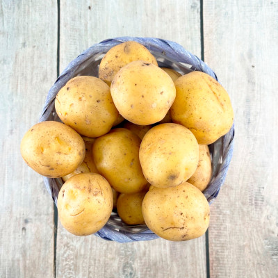 Картофель семенной Коломба суперранний светло-желтый